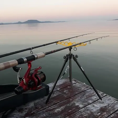 Balaton 21